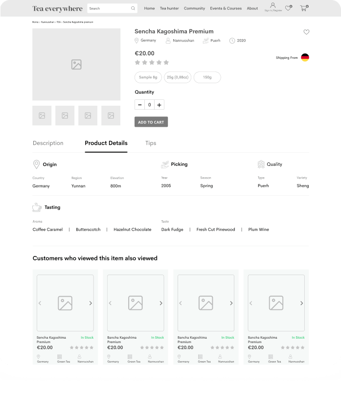 wireframe